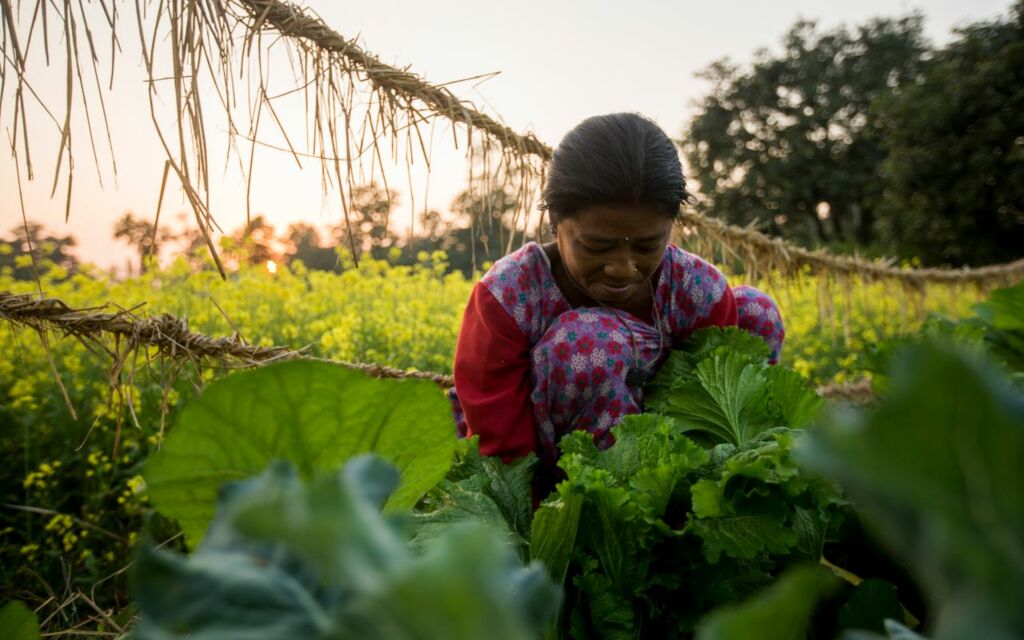 Investing in Healthy Soils: Curse or Blessing?