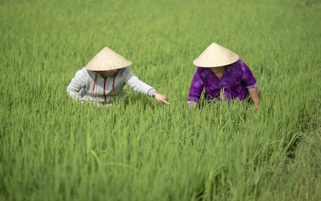 „Die Türen sind offen - wir Farmer sind bereit‟